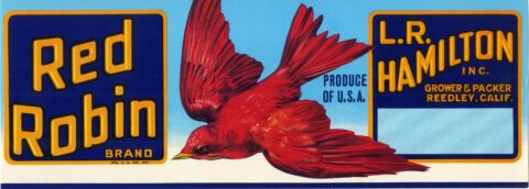 Red Robin